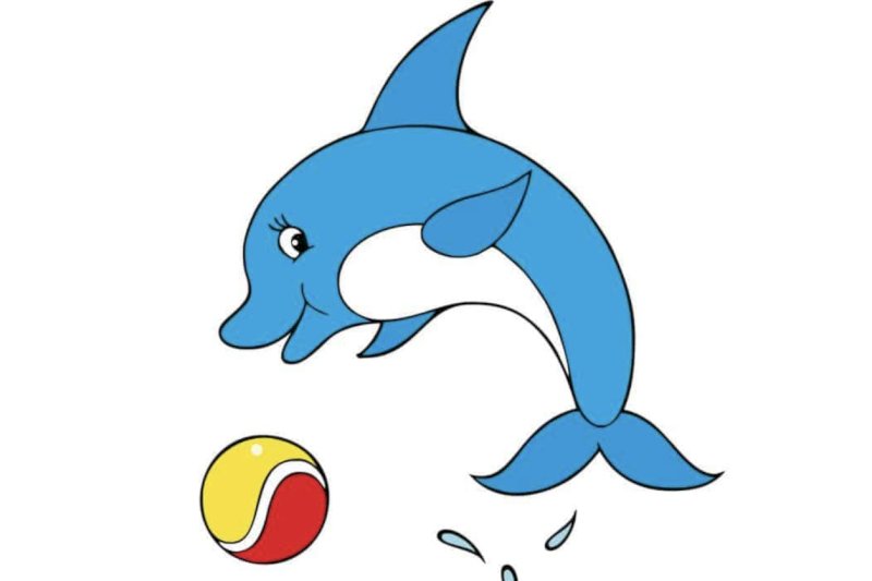 Permanentka platí pro aktivitu delfíni